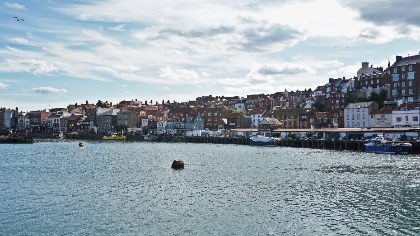 Ediface — photograph 7 by Matthew Satchell
