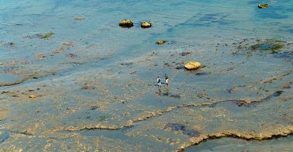 The Water — photograph 2 by Matthew Satchell