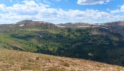 Above the Treeline — Matthew Satchell