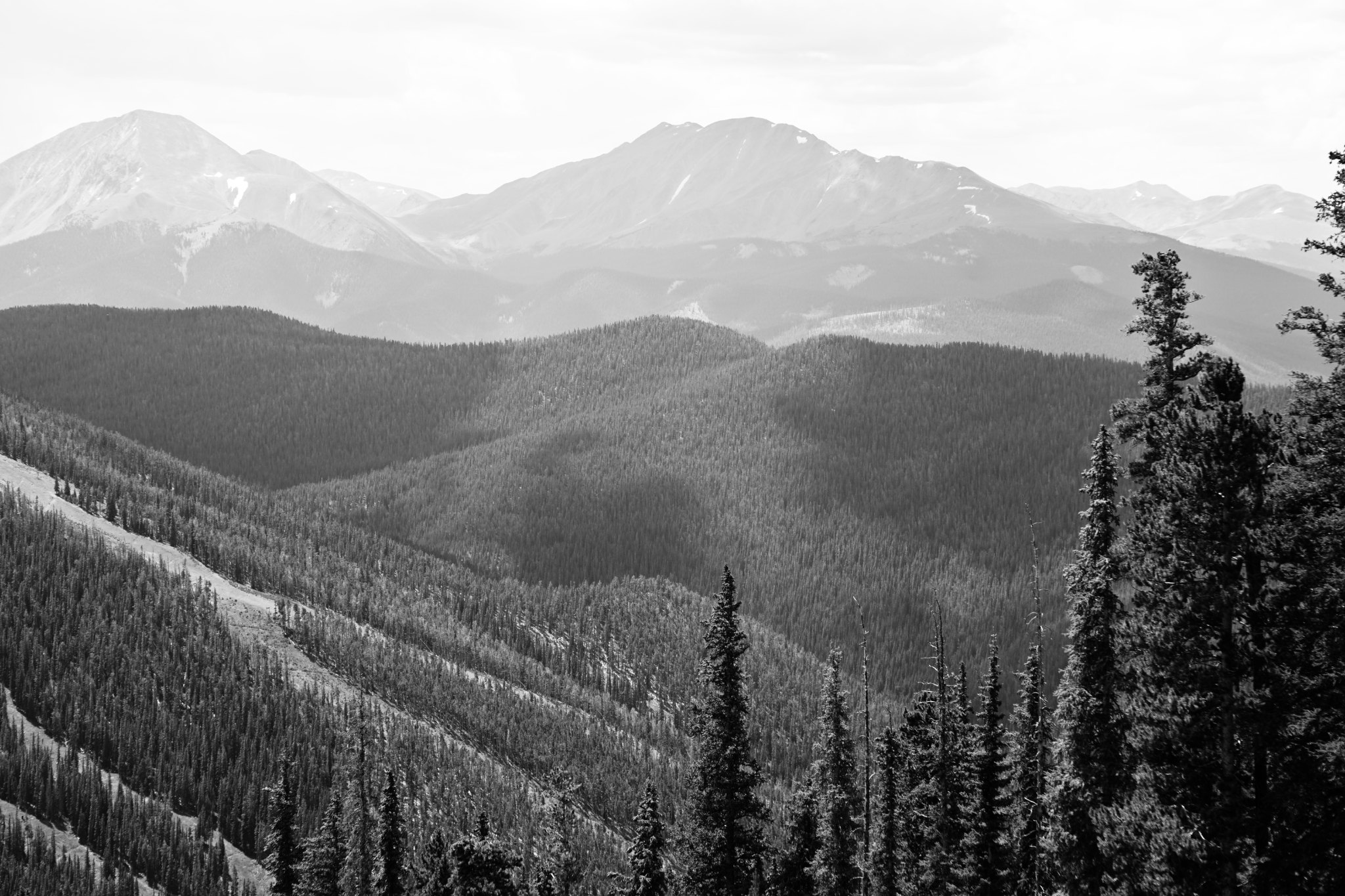 How Thanksgiving Gave Me the Most Meaningful Day of My Life — Matthew Satchell