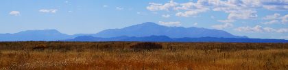 Golden Grassland And Blue Ridges — Matthew Satchell