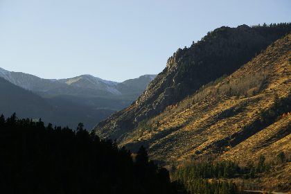 Golden Light on the Ridge — Matthew Satchell