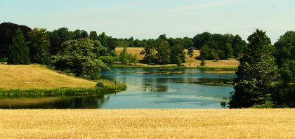 Bit of a dry spell — Matthew Satchell