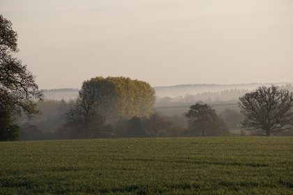 Mist Over the Green Field — Matthew Satchell
