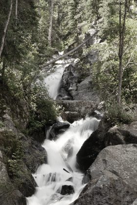 Cascade Through The Pines — Matthew Satchell