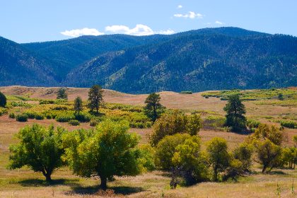 Meadow Below Forested Ridges — Matthew Satchell