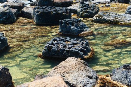 Rock Pool at Low Tide — Matthew Satchell