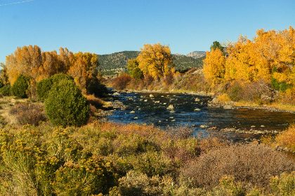 Catching the Fall — Matthew Satchell
